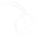 logo kewel